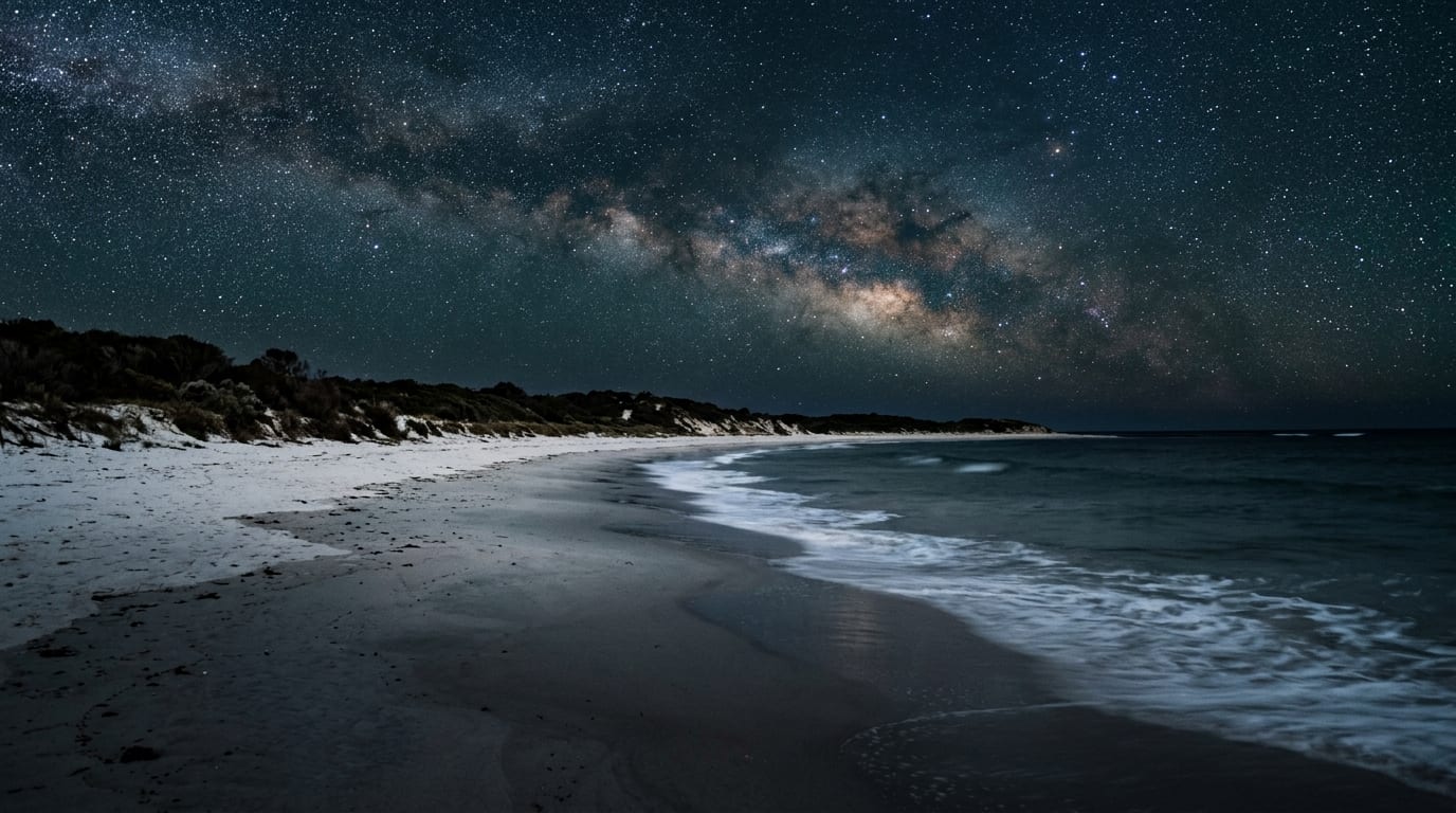 The empty beach at Pomene, Mozambique after dark under a clear, starlit sky — the dark, undeveloped sand that makes turtle nesting Pomene possible