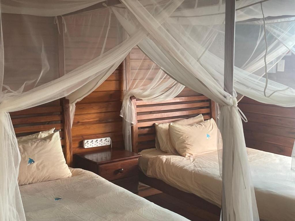 En-suite bedroom with twin wooden beds and white mosquito netting